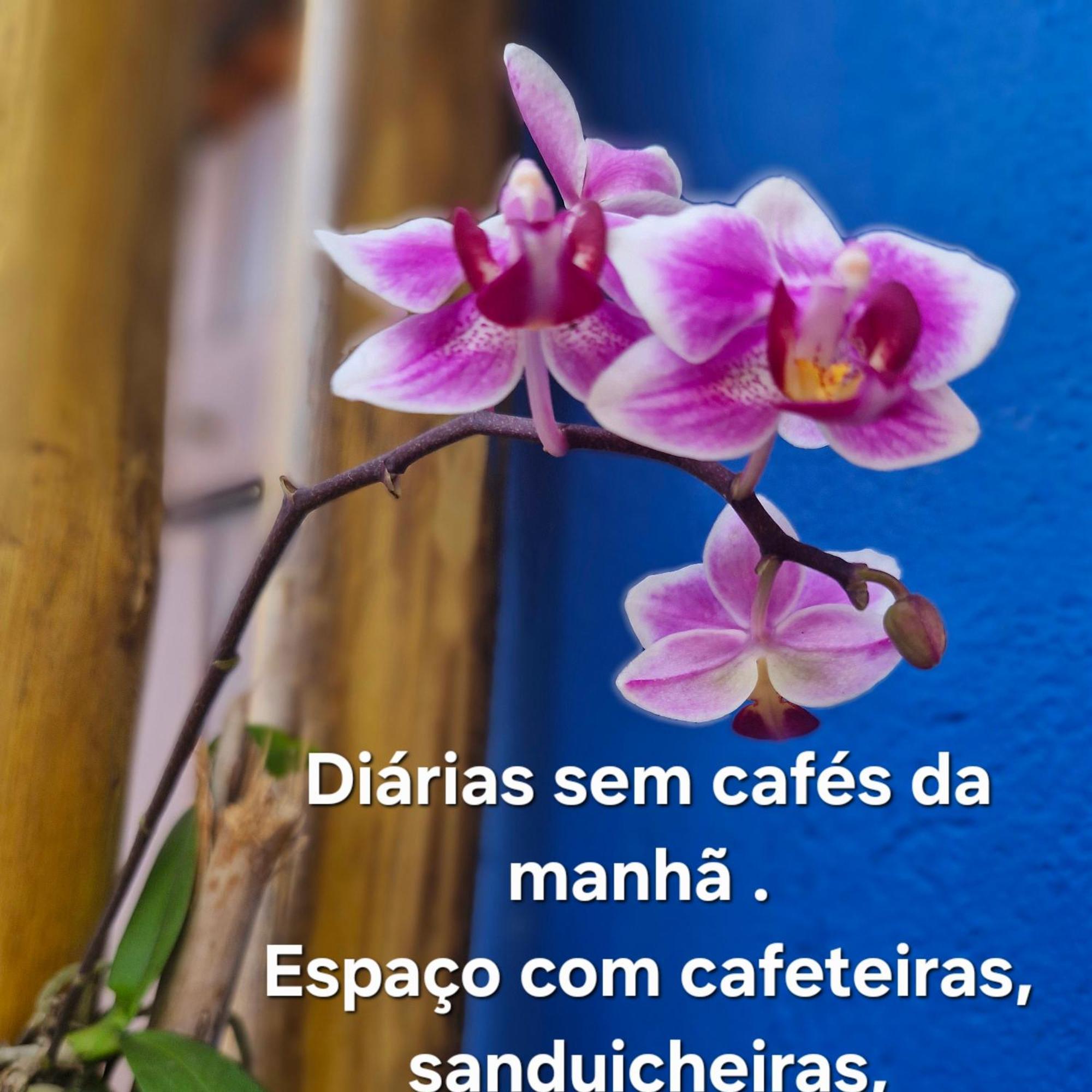 A Ver O Mar Suites Cocanha Карагуататуба Екстериор снимка